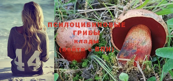 кокс Богородск