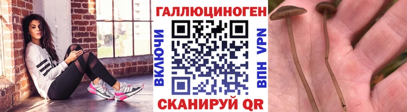 Купить закладки  Дубовка  Галлюциногенные грибы ЛСД 