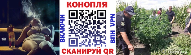 Купить закладки  Дубовка  Канабис конопля 